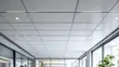 Acoustic Ceiling Panels for Interior Spaces - 2