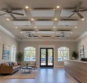 Acoustic Ceiling Panels for Conference Rooms