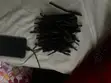 Dreads 2026 - Vipande 75 - 2