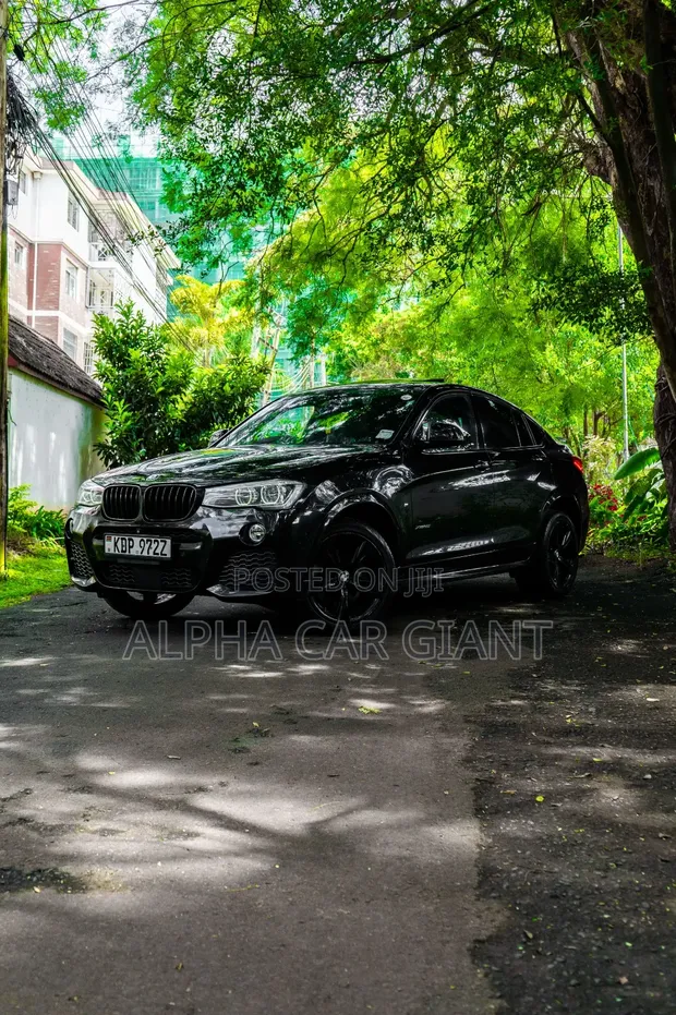 BMW X4 xDrive28i 2017 Black - 1