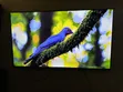 Used Hikers 55-Inch Smart TV - 4