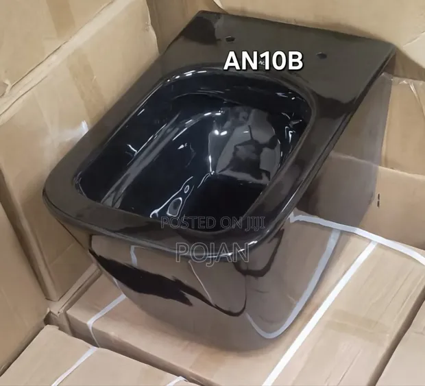 Black Wall Hung Toilet - 1