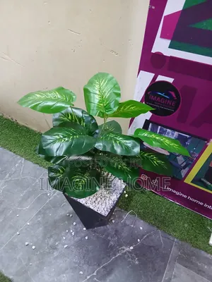 Mmea Bandia wa Balcony na Kopo Nyeusi na Nyeupe