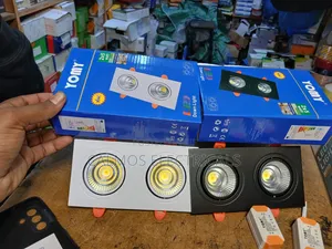 Twin Downlighter, Double LED Ceiling Light