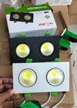 Twin Downlighter, Double LED Ceiling Light - 2