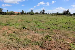 Kiamaina Store Ya Makaa 50x100 Plot for Sale
