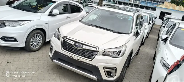 Toyota Probox 2019 Nyeupe - 1