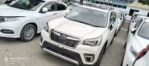 Toyota Probox 2019 Nyeupe