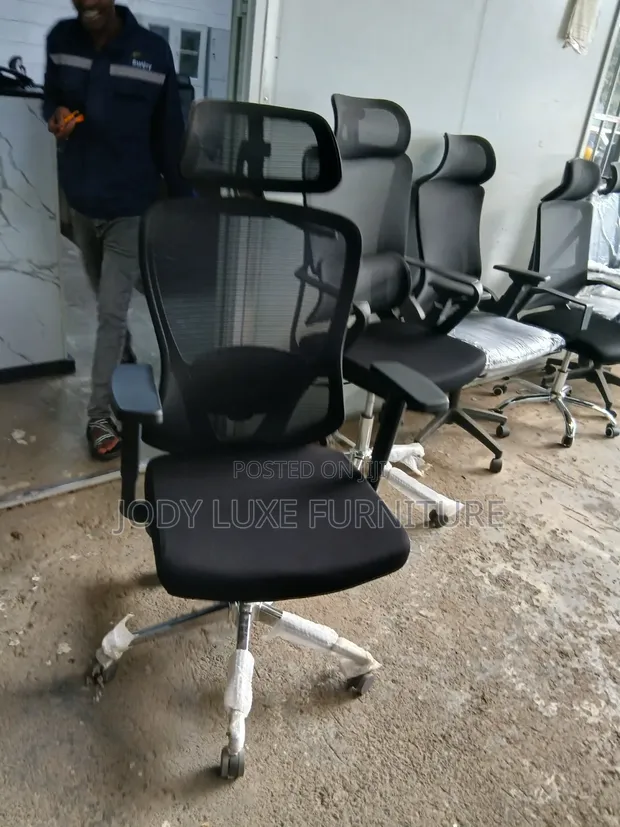 High-Back Orthopedic Ergonomic Office Chair - 1