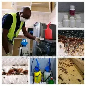 Professional Pest Control & Fumigation Services