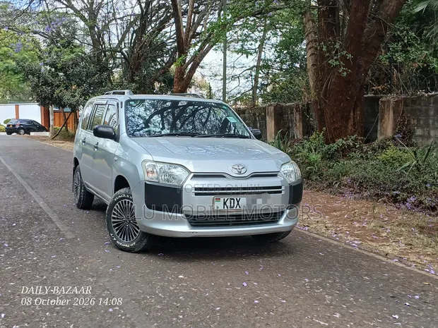 Toyota Probox 1.3 DX 2WD 2019 Silver - 1