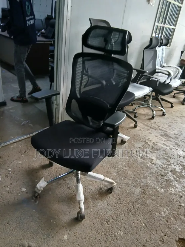 High-Back Orthopedic Ergonomic Office Chair - 1