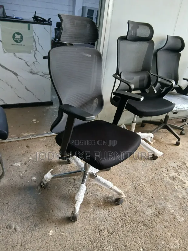 High-Back Orthopedic Ergonomic Office Chair - 1