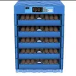 256 Hatchery ya Mayai ya Kiotomatiki AC/DC - 2