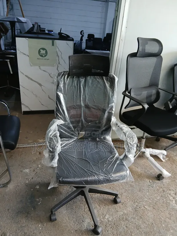 High-Back Orthopedic Ergonomic Office Chair - 1