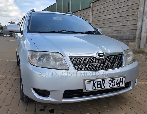 Toyota Corolla Fielder 2005 Silver - 1