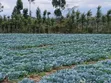 2 Acres Prime Land with Water Supply, Nanyuki Matanya - 1