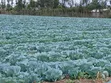 2 Acres Prime Land with Water Supply, Nanyuki Matanya - 2