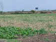 2 Acres Prime Land with Water Supply, Nanyuki Matanya - 3