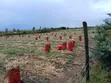 2 Acres Prime Land with Water Supply, Nanyuki Matanya - 5