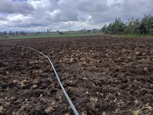 2 Acres Prime Land with Water Supply, Nanyuki Matanya