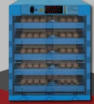 256 Egg AC/DC Incubator ya Kiotomatiki