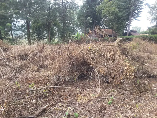 1 Acre Residential Land for Sale in Ngong - 1