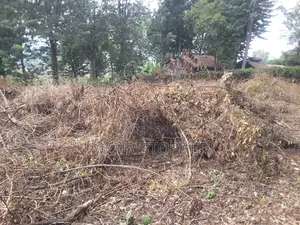1 Acre Residential Land for Sale in Ngong