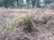 1 Acre Residential Land for Sale in Ngong - 2