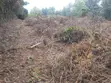 1 Acre Residential Land for Sale in Ngong - 4