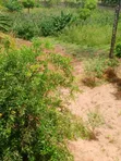 Eneo la Eka 23 Linauzwa Karibu na Milima ya Mrima, Kwale - 1