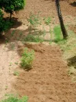 Eneo la Eka 23 Linauzwa Karibu na Milima ya Mrima, Kwale - 4
