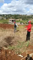 40x80 Plots for Sale in Githanji, Kenol - 2