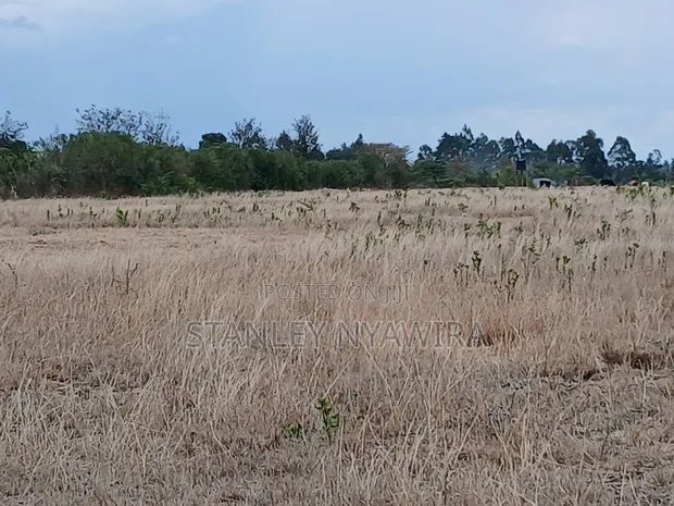 7 Acres Prime Farmland in Nanyuki Matanya - 1