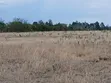 7 Acres Prime Farmland in Nanyuki Matanya - 1