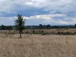 7 Acres Prime Farmland in Nanyuki Matanya - 2