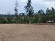 7 Acres Prime Farmland in Nanyuki Matanya - 3