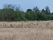 7 Acres Prime Farmland in Nanyuki Matanya - 5