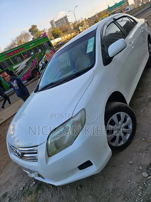 Toyota Axio 2010 White - 1