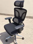 Ergonomic Mesh Office Chair with Headrest - 1