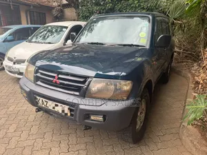 Mitsubishi Pajero 2001 Bluu