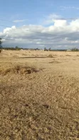 Viwanja 50x100 kwa Uuzaji Gikono, Kabati, Kaunti ya Murang'a - 3