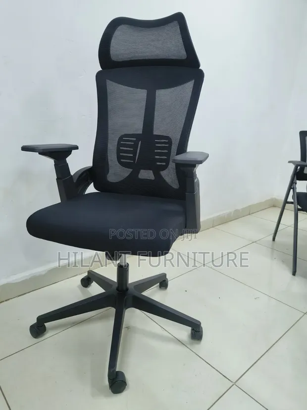 Premium Ergonomic High-Back Executive Office Chair - 1