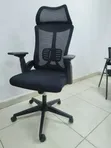 Premium Ergonomic High-Back Executive Office Chair - 1