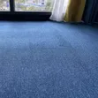 Delta Wall-to-Wall Carpet - 2
