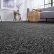 Delta Acoustic Carpet - Wall-to-Wall - 3