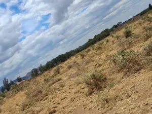 Vipande Bora vya 1/8 Acre Maimahiu, Karima Kwa Stock