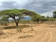 Prime 1/8 Acre Plots in Mai Mahiu, Karima Kwa Stock - 4