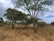 Prime 1/8 Acre Plots in Mai Mahiu, Karima Kwa Stock - 5