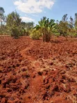 Kitalu cha Robo Eka Kinauzwa Igikiro, Kamahuha, Murang'a - 3